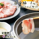 【ふるさと納税】《定期便6ヶ月コース》白金豚(プラチナポーク...