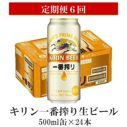 キリン一番搾り生ビール500ml缶×24本【定期便6回】