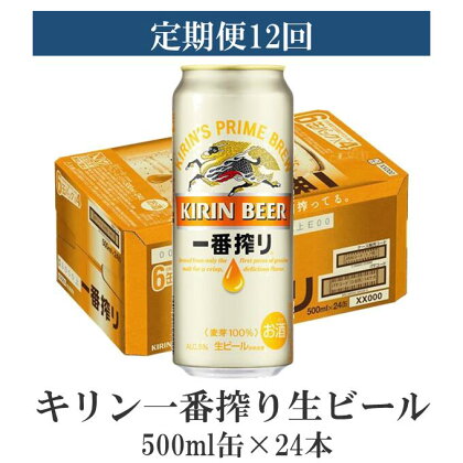 キリン一番搾り生ビール500ml缶×24本【定期便12回】
