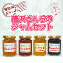 【ふるさと納税】唐沢さんちのジャムセット(4本) 無添加 ジャム いちご りんご ラフランス ブルーベリー