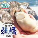 【ふるさと納税】牡蠣 生食 殻付き 15個 カキ 大粒 (ナ
