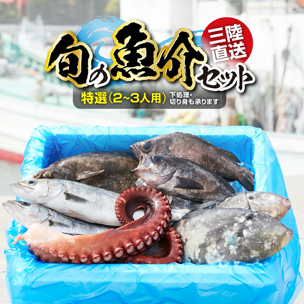 【ふるさと納税】魚 鮮魚 詰め合わせ セット 冷蔵 ≪特選2~3人用≫【 下処理可 無添加 新鮮 三陸産 国産 天然 海鮮 お刺身 魚介 魚介類 海藻 詰め合わせ 鮮魚BOX ボックス お祝い 宴会 時短 便利 簡単 カワハギ お手軽 産地直送 岸屋商店 】