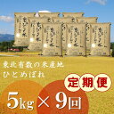 【ふるさと納税】☆全9回定期便☆ 5kg×9カ月 岩手県奥州...