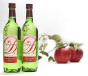 【ふるさと納税】 完熟りんご100％使用 ワイン 「Demeter～デメテル～」 奥州市産りんごを使用した貴重なアップルワイン 720ml×2本 [Q0001]