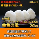 【ふるさと納税】新登場の高級米 岩手県奥州市産 金色の風 白...