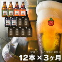 【ふるさと納税】毎月12本 3ヶ月お届け 岩手の地ビール ベ...