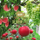 【ふるさと納税】特撰フルーツの定期便(計3品)