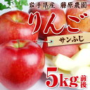 【ふるさと納税】岩手県産りんご『サンふじ』※沖縄県へのお届け...