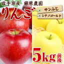 【ふるさと納税】岩手県産りんご2種の詰め合わせ『シナノゴール...