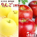 【ふるさと納税】りんご2種の詰め合わせ『シナノゴールド・サン...