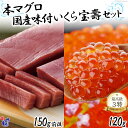 【ふるさと納税】【W海の幸】 本マグロ(中トロ)&国産味付いくら「宝壽」セット<かわむら家>【宮城県気仙沼市】