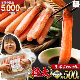 【ふるさと納税】極太 生本ずわいがに 棒肉ポーション 約500g 13本～20本入り 殻剥き不要 ! 脚肉のみ ! [カネダイ 宮城県 気仙沼市 20562794] <strong>カニ</strong> ずわいがに ズワイガニ ずわい蟹 ズワイ蟹 蟹 <strong>カニ</strong> <strong>カニ</strong>脚 蟹脚 <strong>カニ</strong>棒肉 <strong>カニ</strong> 生 蟹 ポーション <strong>カニ</strong>しゃぶ かに