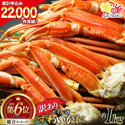 【ふるさと納税】<strong>訳あり</strong> ボイル ずわいがに 肩付き脚 総重量1kg [カネダイ 宮城県 気仙沼市 20562923] カニ かに <strong>ズワイガニ</strong> ずわい蟹 ズワイ蟹 ずわい ズワイ 蟹 カニ カニ脚 蟹脚 不揃い 規格外 海鮮