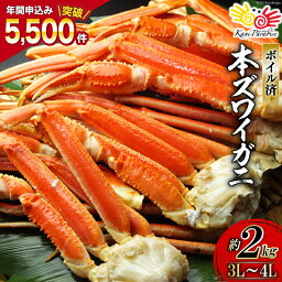 【<strong>ふるさと納税</strong>】ボイル済み 本ずわいがに 脚 3L～4L 総重量2kg [カネダイ 宮城県 気仙沼市 20562924] ズワイガニ ずわい蟹 ズワイ蟹 ずわい ズワイ 蟹 カニ カニ脚 蟹脚 足 ボイル