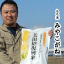 【ふるさと納税】美田園復興米 もち米「みやこがね」 5kg