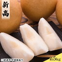 【ふるさと納税】【松崎果樹園】梨「新高」約5kg(5~7玉入) 【梨・ナシ・果物・フルーツ】 お届け:2020年10月上旬~10月下旬