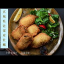 【ふるさと納税】三陸産カキフライセット