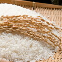 【ふるさと納税】郷の有機使用特別栽培米 ひとめぼれ 10kg...