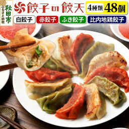 【ふるさと納税】年間100万個完売！【4種餃子48個詰合せ】<strong>餃子の餃天</strong>