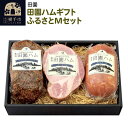 【ふるさと納税】田園ハムギフト ふるさとMセット