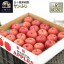 ショッピングりんご 【ふるさと納税】サンふじ 約5kg(14〜20玉)