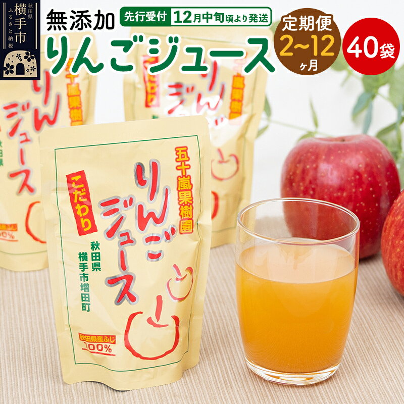 【ふるさと納税】《定期便2〜12ヶ月》無添加りんごジュース（サンふじ）40パック リンゴジュース