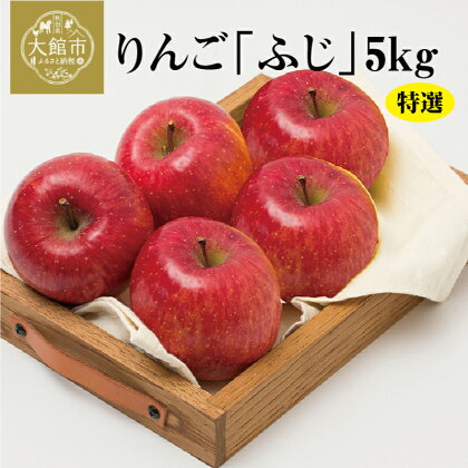 りんご ふじ 特選 5kg リンゴ 林檎 大玉 フルーツ くだもの 大館