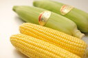 【ふるさと納税】A3101 夏限定・生で食べれる完熟とうもろ...