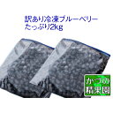 【ふるさと納税】訳あり冷凍ブルーベリー【たっぷり2kg】...