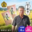 【ふるさと納税】 あきたこまち 白米 《 定期便 10kg ( 5kg × 2袋 ) × 4ヶ月 》 精米 品質 安全 米 お米 こめ コメ 県産米 国産米 定期 訳あり 10KG 10キロ 10k 10K 10 4か月 4ヵ月 4ケ月 4カ月 4回 4 秋田県 秋田 鹿角市 鹿角 【 八幡平地域経営公社 】 40,000円