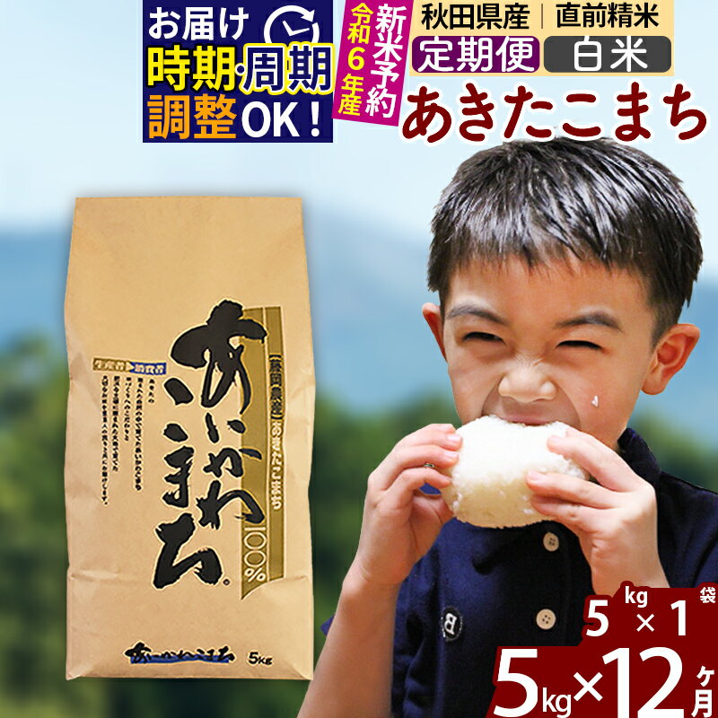 【ふるさと納税】※令和6年産 新米予約※《<strong>定期便</strong>12ヶ月》秋田県産 <strong>あきたこまち</strong> 5kg【白米】(5kg小分け袋) 2024年産 お届け周期調整可能 隔月に調整OK お米 藤岡農産