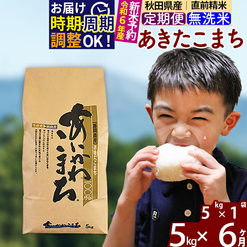 【ふるさと納税】 《定期便6ヶ月》 【無洗米】 秋田県産 あきたこまち 5kg (5kg×1袋)×6回 計30kg 新米 令和3年産 時期選べる お届け周期調整可能 隔月に調整OK 一等米 6か月 6ヵ月 6カ月 6ケ月 5キロ お米