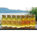 【ふるさと納税】田沢湖産天然はちみつ1kg×7本