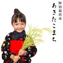 【ふるさと納税】早期受付開始!!【炭壌米 あきたこまち】元年...