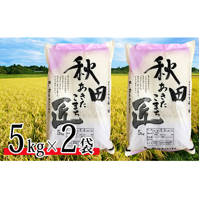 【ふるさと納税】【農家直送 7年連続「特A」ランク 秋田県 仙北市産米】令和元年産 あきたこまち 5kg×2袋（合計：10kg）11月から発送開始　【お米・あきたこまち】　お届け：2019年11月上旬頃から順次発送予定。