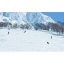 【ふるさと納税】【たざわ湖スキー場】リフト1日券(大人)+レ...