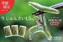 【ふるさと納税】【数量限定!秋田県三種町産】生じゅんさい1....