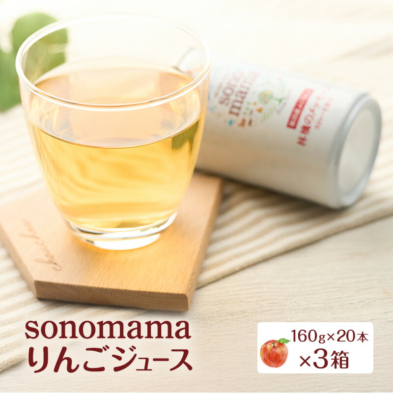 【ふるさと納税】りんごジュース「sonomama」（160g×20本）×3箱 りんご リンゴ ジュース リンゴジュース 飲料