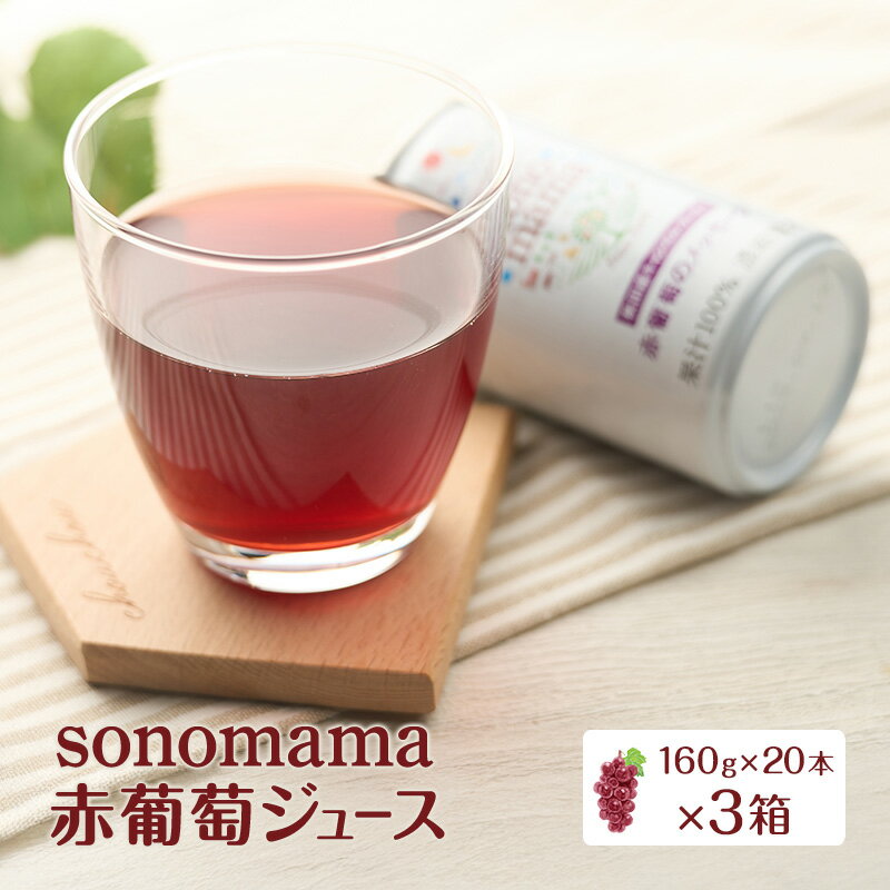【ふるさと納税】赤葡萄ジュース「sonomama」（160g×20本）×3箱 ぶどう ブドウ ジュース ぶどうジュース 飲料