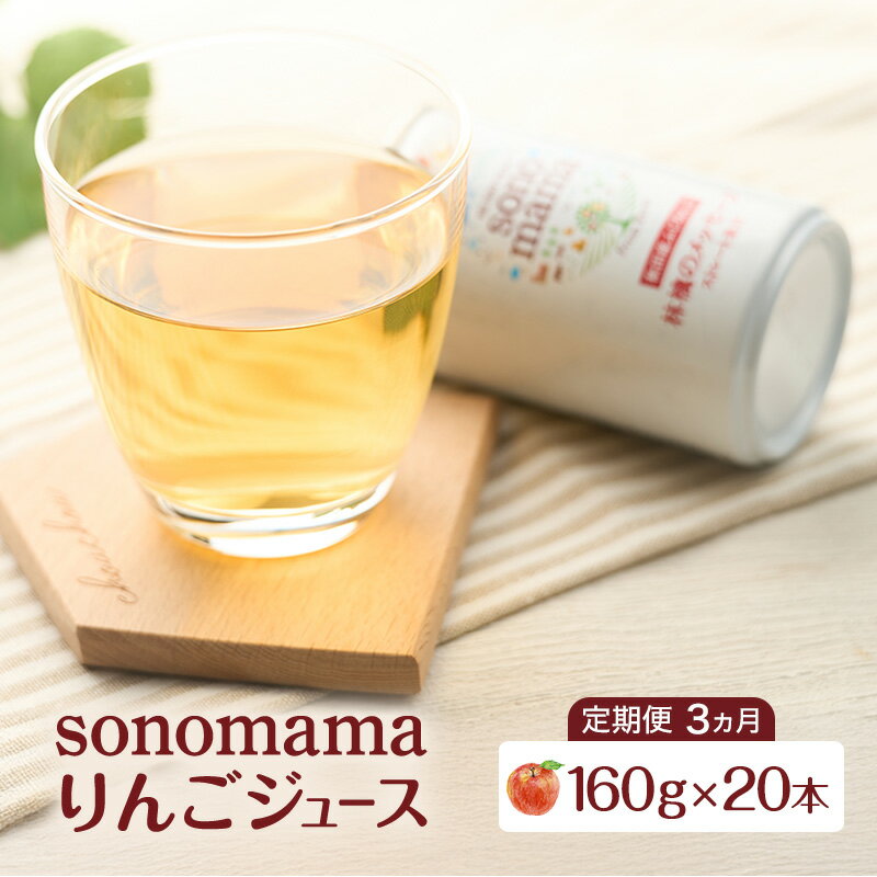 【ふるさと納税】《 定期便 3ヵ月 》りんごジュース「sonomama」（160g×20本）りんご リンゴ ジュース リンゴジュース 飲料
