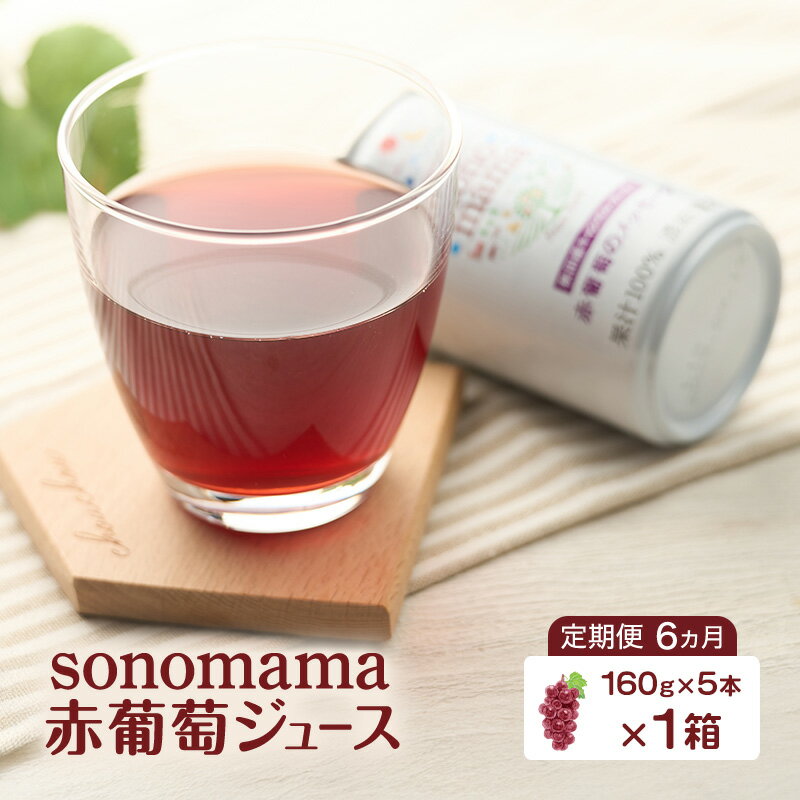【ふるさと納税】《 定期便 6ヵ月 》 赤葡萄ジュース「sonomama」（160g×5本）×1箱 ぶどう ブドウ ジュース ぶどうジュース 飲料