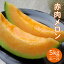 【ふるさと納税】《先行予約 2023年度発送》山形県産庄内メロン約5kg【赤肉メロン】4L〜2Lサイズ 庄内メロン 赤肉メロン 山形県 めろん 5キロ フルーツ 果物 くだもの 送料無料 ふるさと納税 FSY-0399 10,000円