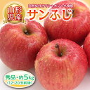 【ふるさと納税】※数量・期間限定※ ☆秀品☆★山形県産りんご★ふじ<約5kg>【12玉~20玉前後】 F2Y-2287