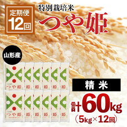 【ふるさと納税】【<strong>定期便</strong>12回】山形産 <strong>つや姫</strong> 精米 5kg×12回(頒布会) FZ20-608 山形 お取り寄せ 送料無料 ブランド米 山形市 山形県