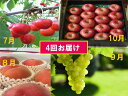 【ふるさと納税】FY18-884【先行予約】うまい山形フルー...