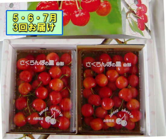 【ふるさと納税】FY18-886【先行予約】山形産高級さくらんぼ☆贅沢な贈答クラスの定期便