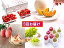 【ふるさと納税】FY18-847【先行予約】フルーツ定期便 ...