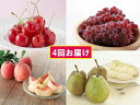 【ふるさと納税】FY18-850【先行予約】フルーツ定期便 ...