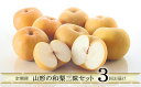 【ふるさと納税】FY19-603 【定期便3回】 山形の和梨三昧セット