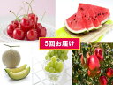 【ふるさと納税】FY18-851【令和2年産先行予約】定期便...